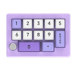 Planet Gates PURPLE / Red Switch / CN 13 Key Macro Programmable Fully Hot Swappable Mechanical Switch 7 Color RGB Light Gaming Mini Keyboard