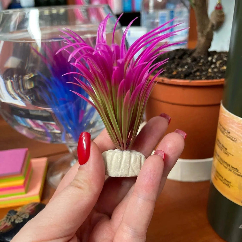 Planet Gates PVC Aquarium Decorative Simulation Artificial Leaves Plant Environmental Protection Materials Aquarium Decorative Accessories