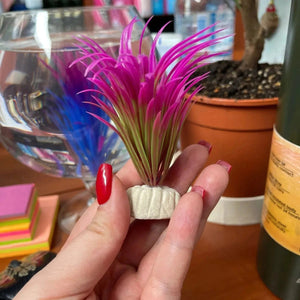 Planet Gates PVC Aquarium Decorative Simulation Artificial Leaves Plant Environmental Protection Materials Aquarium Decorative Accessories