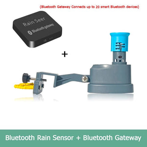 Planet Gates Rain Sensor Set  B / CN Rain Seer Wireless WiFi Bluetooth Rain Sensor Home Kit Connected Devices Tuya Smart Remote Control