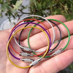 Planet Gates Random-5pcs 5Pcs Colorful EDC Keychain Stainless Steel Carabiner Key Holder Outdoor Tools Wire Keyrings Cable Rope Screw Locking Key Chain