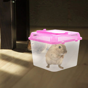 Planet Gates Random Color Pet Box Turtle Tank Habitat Small Terrarium Snails Reptile Aquarium Storage Nest Plastic Tortoise Basin Breeding Living