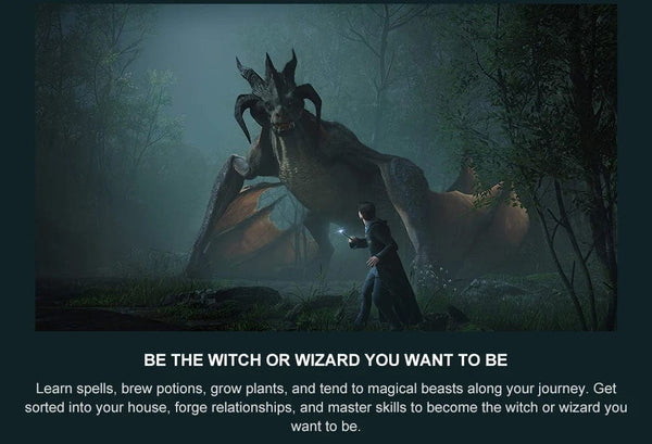 Planet Gates Random Cover Hogwarts Legacy Nintendo Switch Game Deals 100% Official Original Physical Game Card RPG Genre for Nintendo Switch Game Console