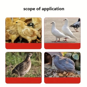 Planet Gates Red 1 Pack, Poultry Feeding Box Assy Chicken Feeder Automatic Water Feeder Chicken Quail Daisy Chicken Feed Feeding Box Automatic Substitute