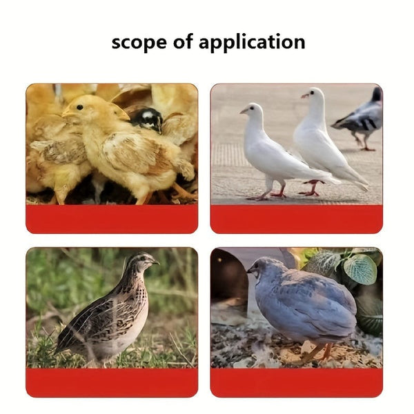 Planet Gates Red 1 Pack, Poultry Feeding Box Assy Chicken Feeder Automatic Water Feeder Chicken Quail Daisy Chicken Feed Feeding Box Automatic Substitute