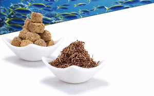 Planet Gates Red Blood Worm Freeze Dried Artemia Salina Fish Food  Feed for All Kinds of Tropical Aquarium Small