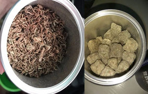 Planet Gates Red Blood Worm Freeze Dried Artemia Salina Fish Food  Feed for All Kinds of Tropical Aquarium Small