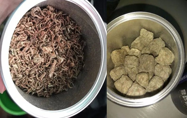 Planet Gates Red Blood Worm Freeze Dried Artemia Salina Fish Food  Feed for All Kinds of Tropical Aquarium Small