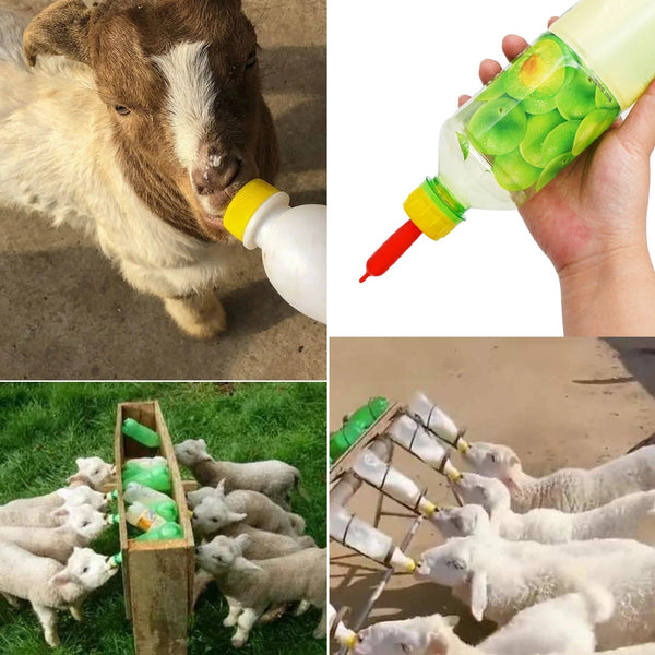 Planet Gates Red / CHINA 5Pcs Lamb Puppy Nipple Plastic Connect with Sprite Coke Bottle Milk Drink Soft Rubber Pacifier Teat Feed Orphaned Pup