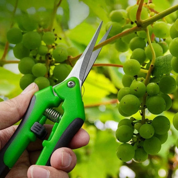 Planet Gates Red Garden Tools Secateurs Bonsai Shears Metal Gardening Scissor Pruning Tool Hand Cutter Fruit Picking Weed Household Potted 1PC