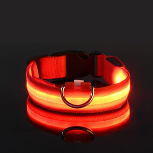 Planet Gates Red / M Nylon LED Night Safety Flashing Glow In The Dark Dog Leash Dogs Luminous Fluorescent Pet Dog Collar
