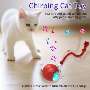 Planet Gates red New Cat Rolling Ball Bird Chirping Interactive Cats Toys Motion Sensor Cat Toy Balls Random Rolling Pet Kitten Teaser Long Tail