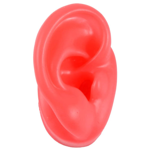 Planet Gates Red Right Ear 1PC Soft Ear Silicone Piercing Model Tattoo Practice Tools Earring Jewelry Display Acrylic Display Stand Kit Hot Sale