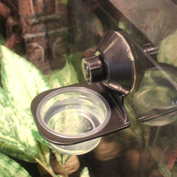Planet Gates Reptiles Feeder Hanging Feeding Solid Food Water Basin for Terrarium Insect Spiders Reptiles Snake Geckos Pet Supplies