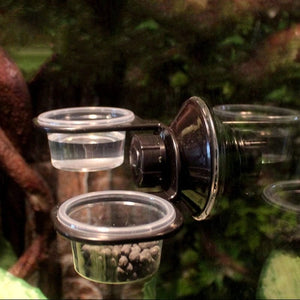 Planet Gates Reptiles Feeder Hanging Feeding Solid Food Water Basin for Terrarium Insect Spiders Reptiles Snake Geckos Pet Supplies