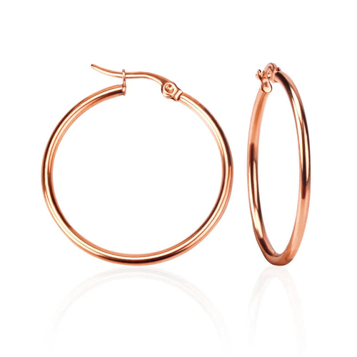 Planet Gates rose gold / 10mm LUXUSTEEL 2Pcs 10-70mm Stainless Steel Hoop Earrings For Women Men Silver Color Round Small Big Circle Huggies Punk Jewelry