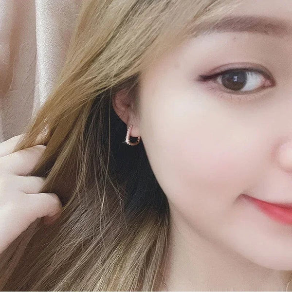 Planet Gates Rose Gold High-quality 925 Sterling Silver Crystal Fashion Circle Hoop Earrings for Woman Wedding Party Gift  Street Versatile Jewelry