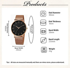 Planet Gates ROSE Men's Fashion Minimalist Ultra Thin Watches Simple Men Business Mesh Belt Quartz Watch Male Wristwatches Clock Relogio Masculino