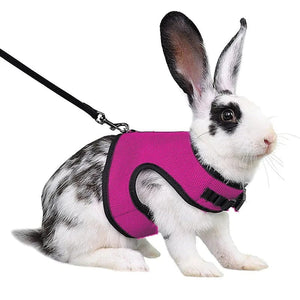 Planet Gates Rose / XL-suit 1.5-3kg Mesh Breathable Ferret Bunny Harness Leash Set for Small Animals Rabbit Hamsters Summer Walking Pet Lead mascotas Accessories