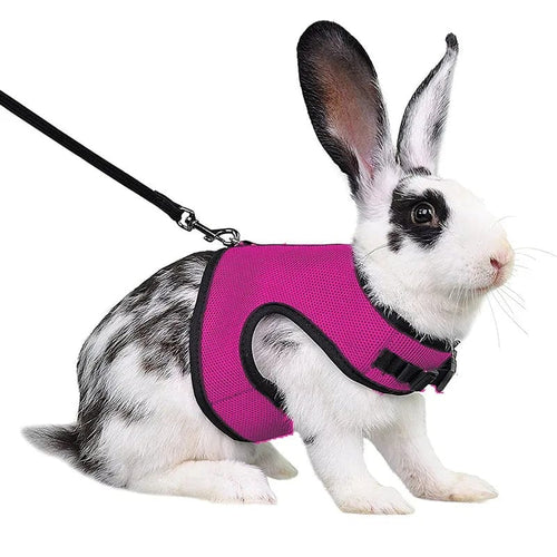 Planet Gates Rose / XL-suit 1.5-3kg Mesh Breathable Ferret Bunny Harness Leash Set for Small Animals Rabbit Hamsters Summer Walking Pet Lead mascotas Accessories