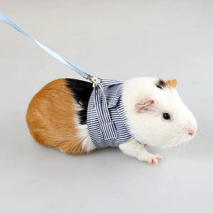 Planet Gates S/L Small Pets Chest Strap Hamster Outdoor Traction Rope Adjustable Harness Leash Vest for Rabbit Hedgehog Chinchilla Guinea Pig