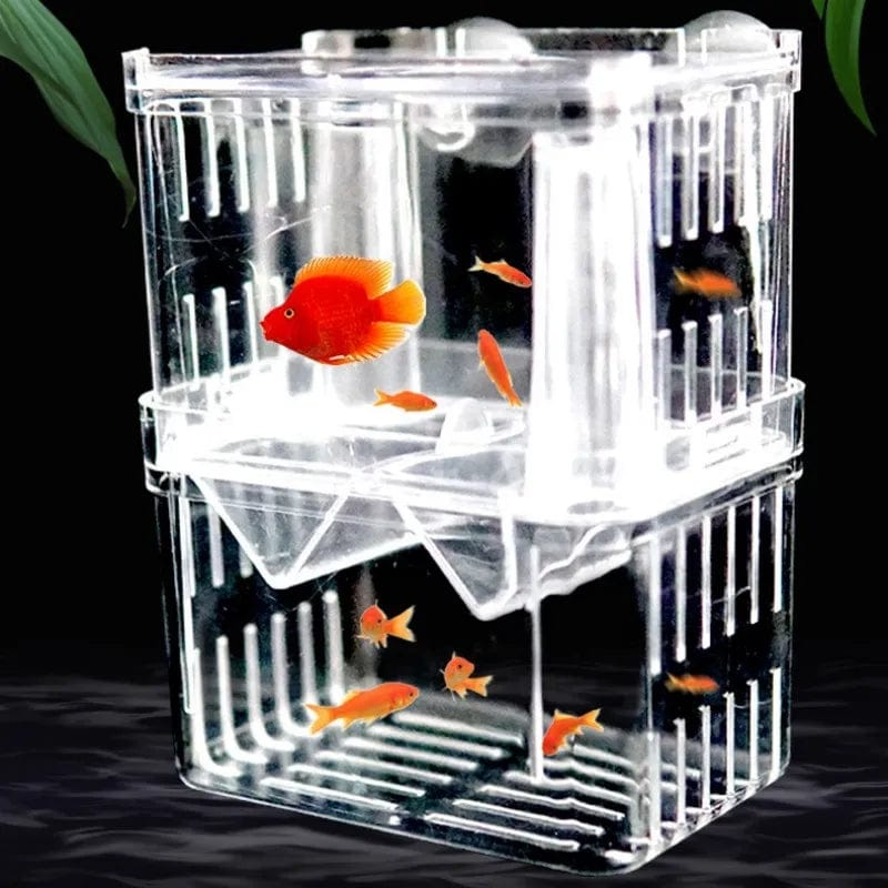 Planet Gates S S/L/XL Aquarium Acrylic Double-Deck Clear Fish Breeding Isolation Box Aquarium Breeder Fish Hatchery Divider Shrimp Fish Injured