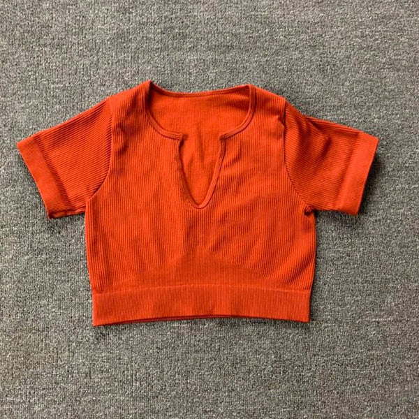 Planet Gates Seamless Sport Suit Yoga Suit Fitness Gym Clothes Women Gym Crop Top Yoga Shirts Bra Leggings Shorts Sportsuit Workout Outfit