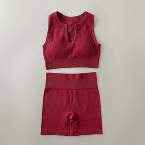 Planet Gates Seamless Yoga Set Ribbed Workout Outfits for Women 2/4 Piece Sport Bra High Waist Shorts Yoga Leggings Sets Fitness Gym Clothing