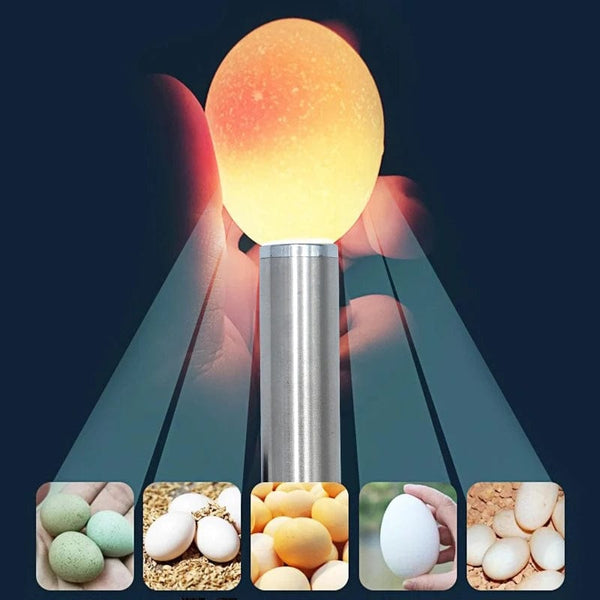 Planet Gates Silver / 1pcs Incubator Eggtester Egg Candling Lamp LED Super Cold Equipment Incubation Tool For Chicken Quail Eggs Incubation Tools