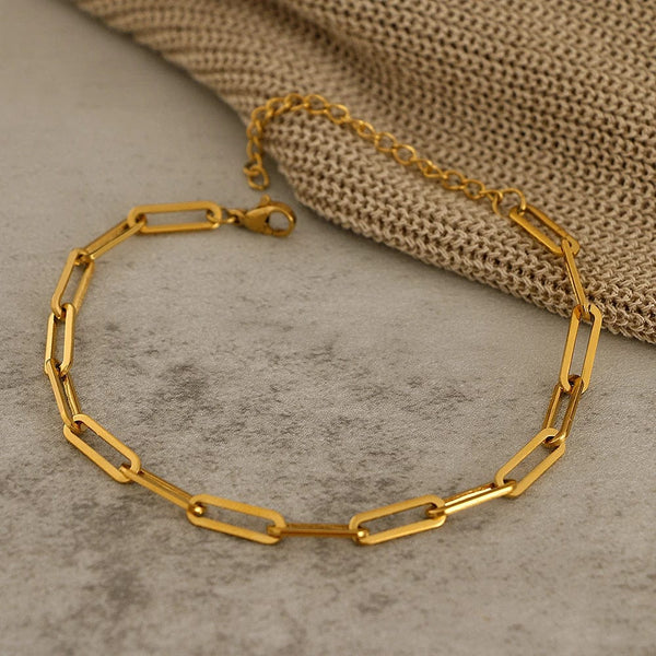 Planet Gates Silver 3 Stainless Steel Bracelets Fashion Paperclip Link Chain Light Luxury Gold Color Charm Bracelet For Women Jewelry Party Fine Gifts