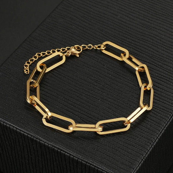 Planet Gates Silver 3 Stainless Steel Bracelets Fashion Paperclip Link Chain Light Luxury Gold Color Charm Bracelet For Women Jewelry Party Fine Gifts