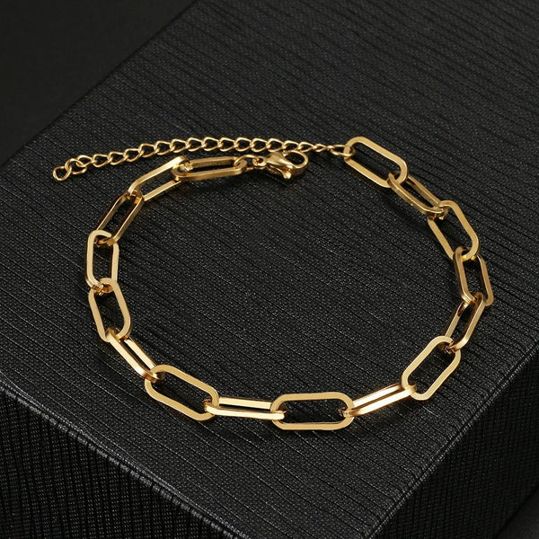 Planet Gates Silver 3 Stainless Steel Bracelets Fashion Paperclip Link Chain Light Luxury Gold Color Charm Bracelet For Women Jewelry Party Fine Gifts
