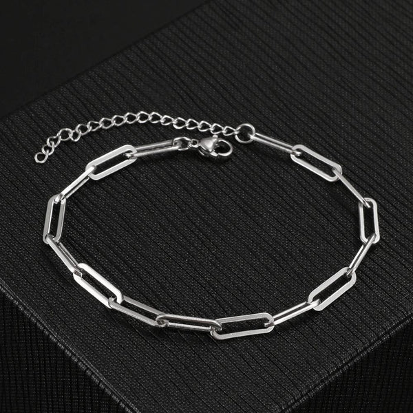 Planet Gates Silver 3 Stainless Steel Bracelets Fashion Paperclip Link Chain Light Luxury Gold Color Charm Bracelet For Women Jewelry Party Fine Gifts