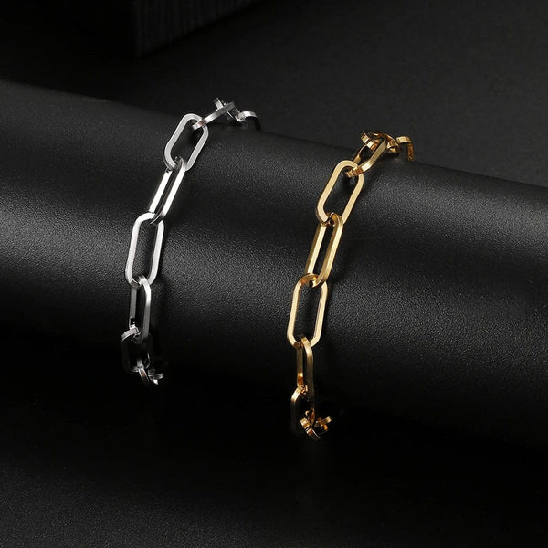 Planet Gates Silver 3 Stainless Steel Bracelets Fashion Paperclip Link Chain Light Luxury Gold Color Charm Bracelet For Women Jewelry Party Fine Gifts