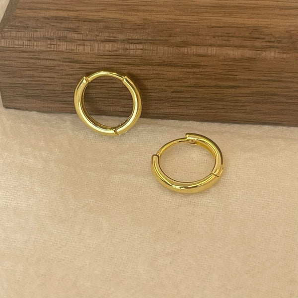 Planet Gates Silver / 5mm (Super Tiny) 6-15mm Stainless Steel Earring Minimalist Classic Round Gold Color Earring for Women Men Tiny Huggie Hoop Rock  Jewelry Gift