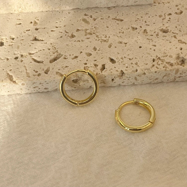 Planet Gates Silver / 5mm (Super Tiny) 6-15mm Stainless Steel Earring Minimalist Classic Round Gold Color Earring for Women Men Tiny Huggie Hoop Rock  Jewelry Gift