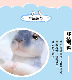 Planet Gates Simulation Kawaii Long Ears Realistic Rabbit Plush Toy Lifelike Animal Stuffed Doll Toys for Kids Girls Birthday Gift Room Decor