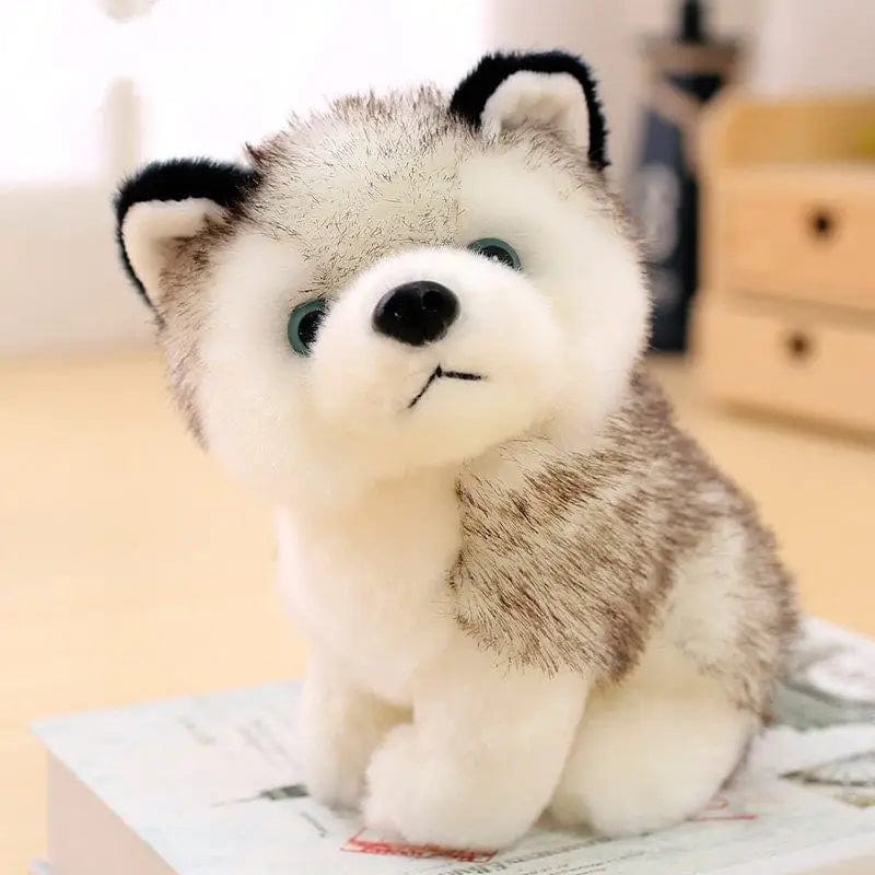 Planet Gates size 20cm Cute Husky Dog Plush Toy Soft Stuffed Doll Kawaii Children Toys Birthday Gift for Girl Fluffy Animal Dolls Size 20cm