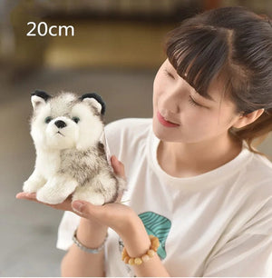 Planet Gates size 20cm Cute Husky Dog Plush Toy Soft Stuffed Doll Kawaii Children Toys Birthday Gift for Girl Fluffy Animal Dolls Size 20cm