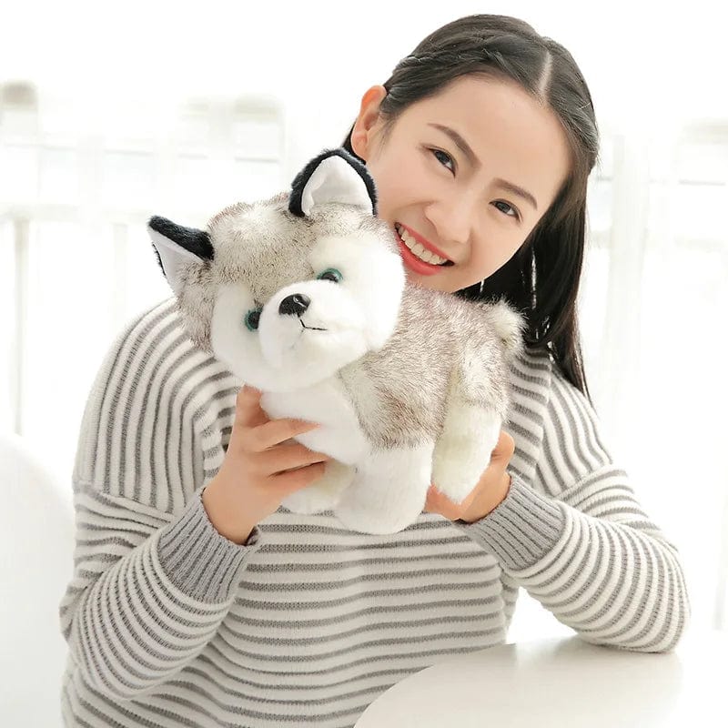 Planet Gates size 20cm Cute Husky Dog Plush Toy Soft Stuffed Doll Kawaii Children Toys Birthday Gift for Girl Fluffy Animal Dolls Size 20cm
