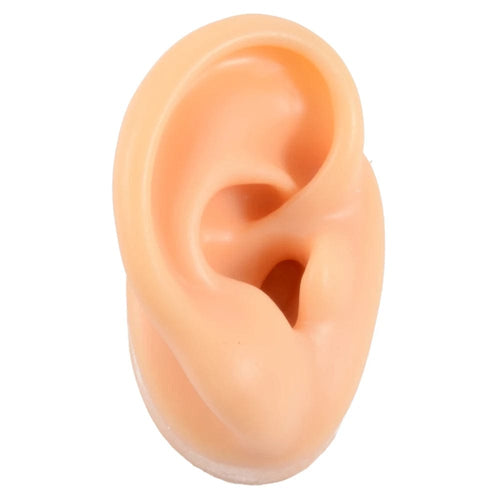 Planet Gates Skin Right Ear 1PC Soft Ear Silicone Piercing Model Tattoo Practice Tools Earring Jewelry Display Acrylic Display Stand Kit Hot Sale