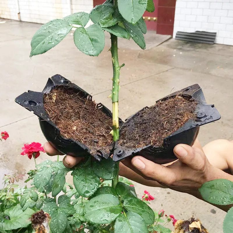 Planet Gates Small black Plant Rooting Ball Propagation Rooting Box Plant Cloner Grafting Breeding Seeding Container Nursery Box Garden Seeds Root Cases