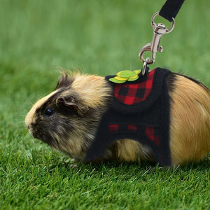 Planet Gates Small Pet Two-legged Chest Strap Outdoor Traction Rope Leash Clothes For Chinchilla Dutch Guinea Pig Breathable Denim Corset