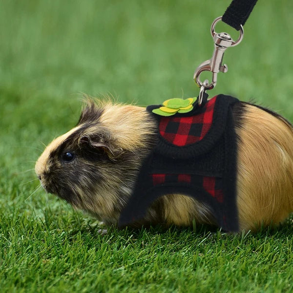 Planet Gates Small Pet Two-legged Chest Strap Outdoor Traction Rope Leash Clothes For Chinchilla Dutch Guinea Pig Breathable Denim Corset