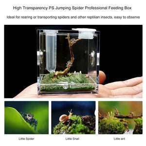 Planet Gates Small Reptiles Breeding Box Clear Acrylic Cage Habitat Insect Feeding Box Terrarium Tank Escape Proof For Jumping Spider
