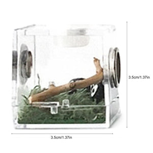 Planet Gates Small Reptiles Breeding Box Clear Acrylic Cage Habitat Insect Feeding Box Terrarium Tank Escape Proof For Jumping Spider