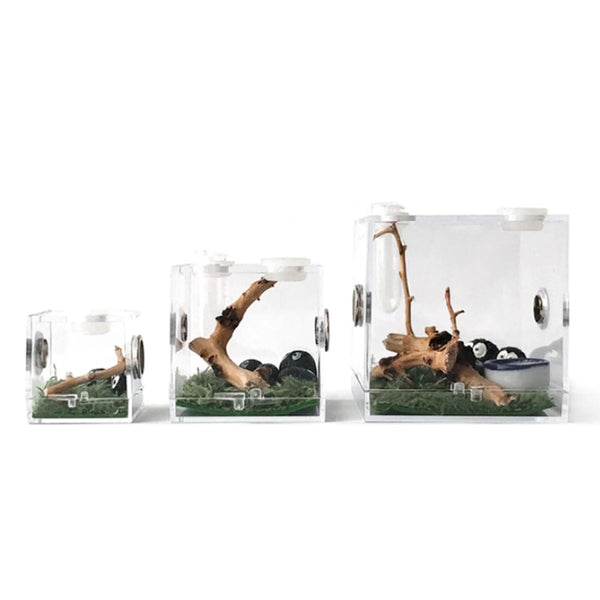 Planet Gates Small Reptiles Breeding Box Clear Acrylic Cage Habitat Insect Feeding Box Terrarium Tank Escape Proof For Jumping Spider