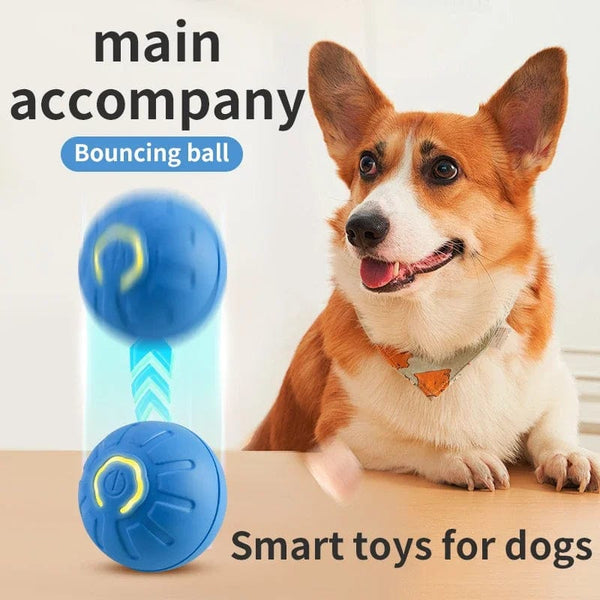Planet Gates Smart Dog Toy Ball Electronic Interactive Pet Toy Moving Ball USB Automatic Moving Bouncing for Puppy Birthday Gift Cat Product