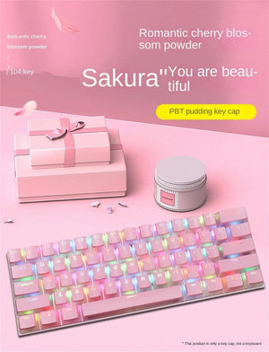 Planet Gates Special Keys 104 Keys PBT Pudding Keycap Two-color Injection OEM Profile DIY Keycaps for Gateron Cherry MX Switch Gaming Mechanical Keyboard