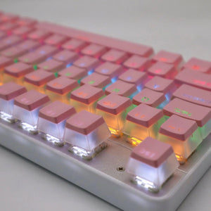Planet Gates Special Keys 104 Keys PBT Pudding Keycap Two-color Injection OEM Profile DIY Keycaps for Gateron Cherry MX Switch Gaming Mechanical Keyboard